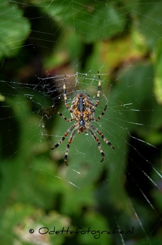 DSC_5149.JPG
