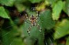 DSC_5142.JPG
