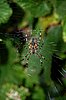 DSC_5149.JPG