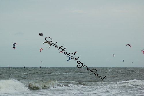 DSC_4833.jpg