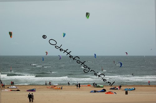 DSC_5006.jpg