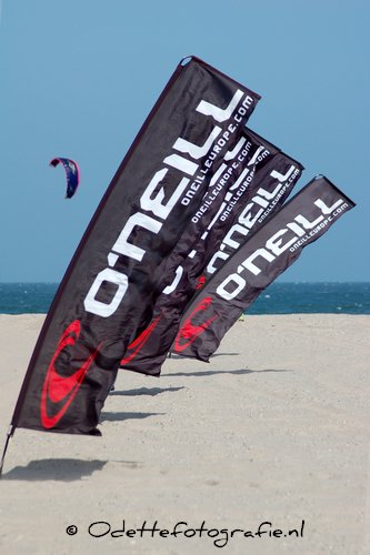 DSC_8685.jpg