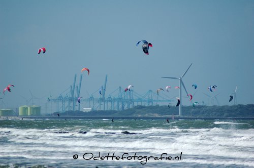 DSC_8703.jpg